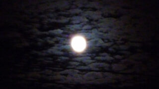 Thumbnail of post image 067