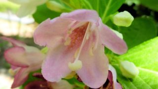 Thumbnail of post image 087