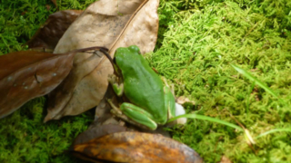Thumbnail of post image 140