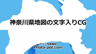 Thumbnail of post image 146