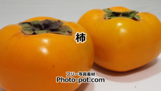 Thumbnail of post image 187