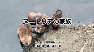 Thumbnail of post image 188