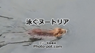 Thumbnail of post image 042